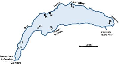 Diversity, Functions and Antibiotic Resistance of Sediment Microbial Communities From Lake Geneva Are Driven by the Spatial Distribution of Anthropogenic Contamination